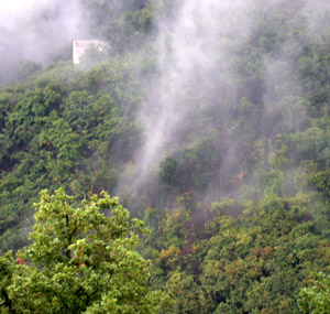 Cascina Tecosa