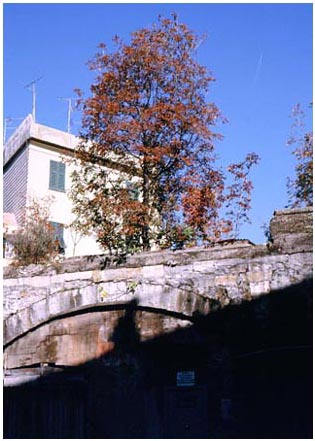 Ponte di Sturla